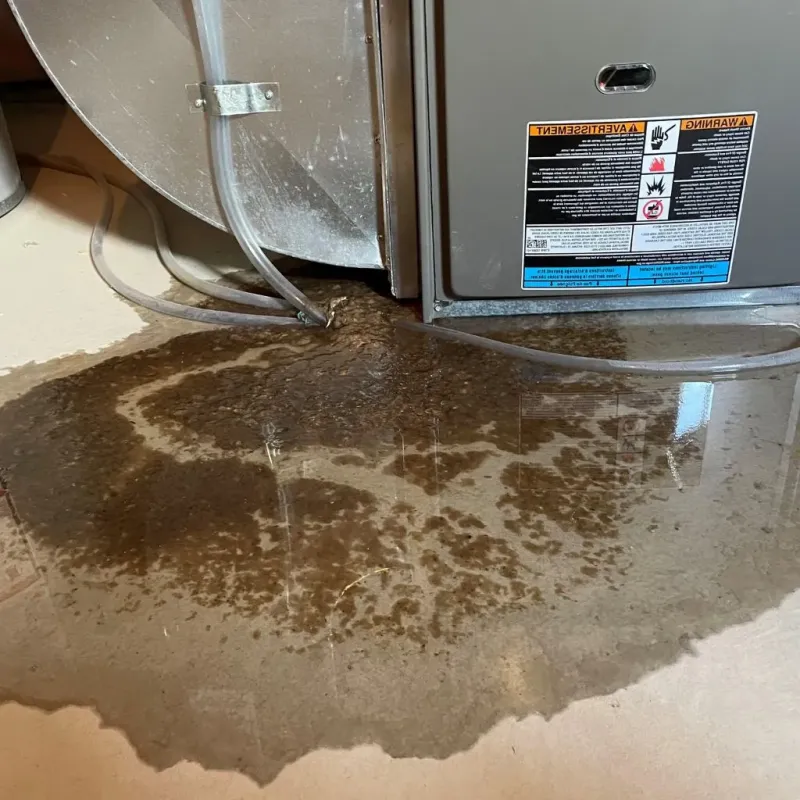 Pipe Burst and Leak Restoration in Washington County, PA