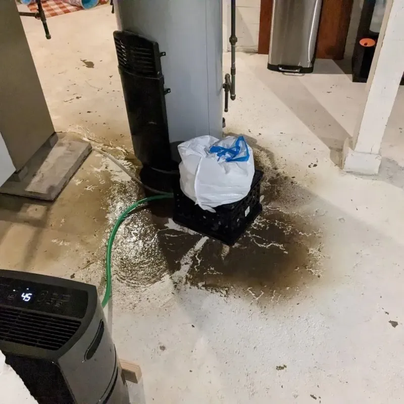 Sewage Backup Cleanup Service in Washington County, PA
